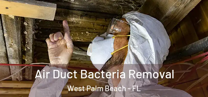  Air Duct Bacteria Removal West Palm Beach - FL