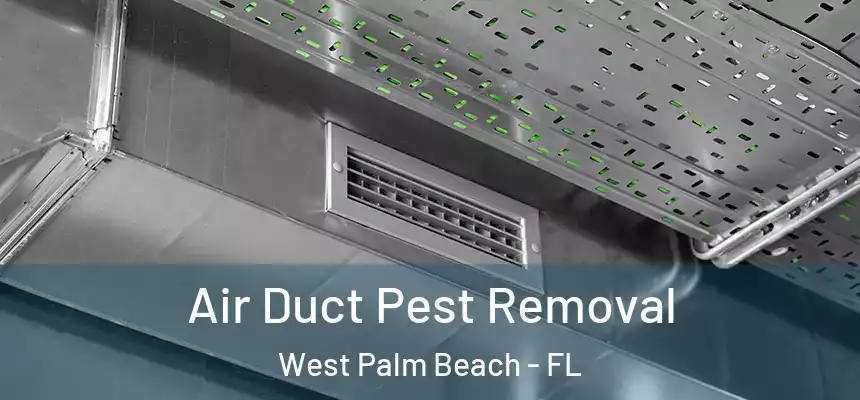  Air Duct Pest Removal West Palm Beach - FL