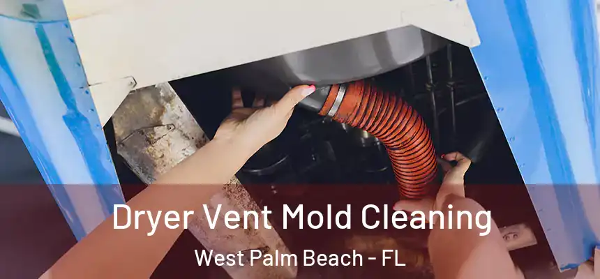 Dryer Vent Mold Cleaning West Palm Beach - FL
