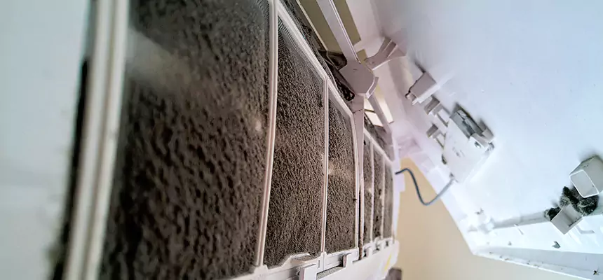 Preventive Air Duct Bacteria Removal in West Palm Beach