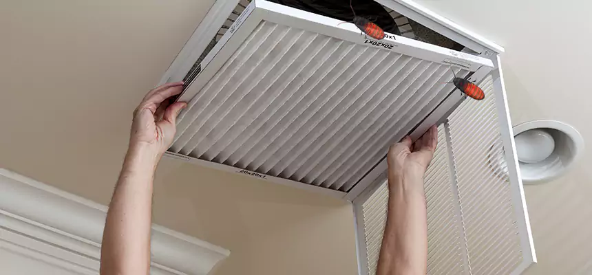 Preventive Cockroach-Proofing for Ducts in West Palm Beach