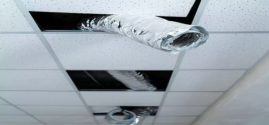 Affordable HVAC Sanitizing After Pest Removal in West Palm Beach