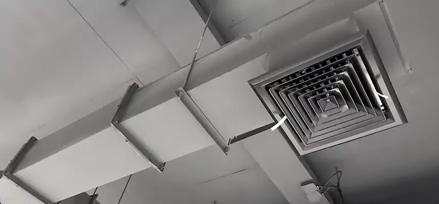 Our Rodent Droppings In Vents Services in West Palm Beach, FL