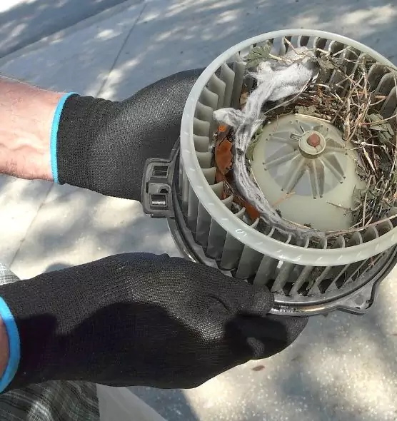 About Air Duct Mice Removal in West Palm Beach, FL