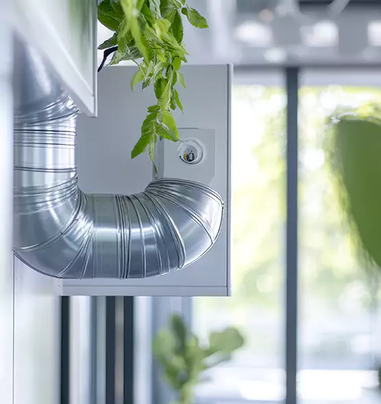 Professional Eco-Safe Dryer Vent Cleaning in West Palm Beach, FL