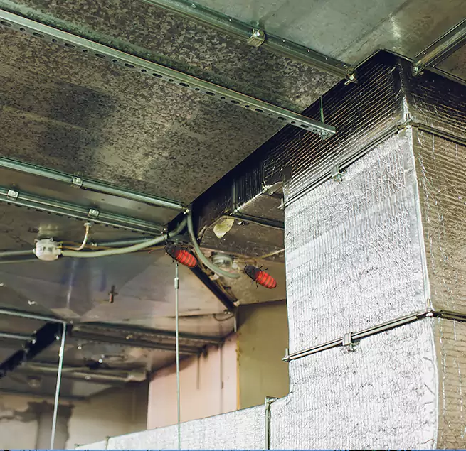 Why Homeowners & Businesses Trust Us in West Palm Beach, FL?