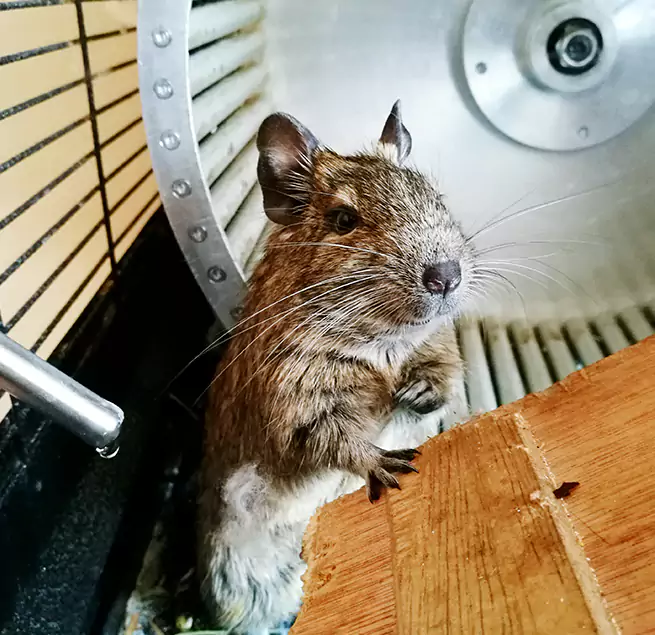 Why Homeowners & Businesses Trust Us West Palm Beach, FL