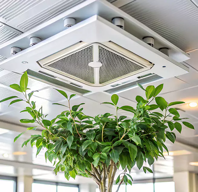 Why Homeowners & Businesses Trust Us in West Palm Beach, FL