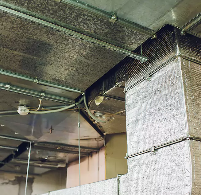 Why Homeowners & Businesses Trust Us in West Palm Beach, FL?